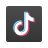 Tiktok Icon